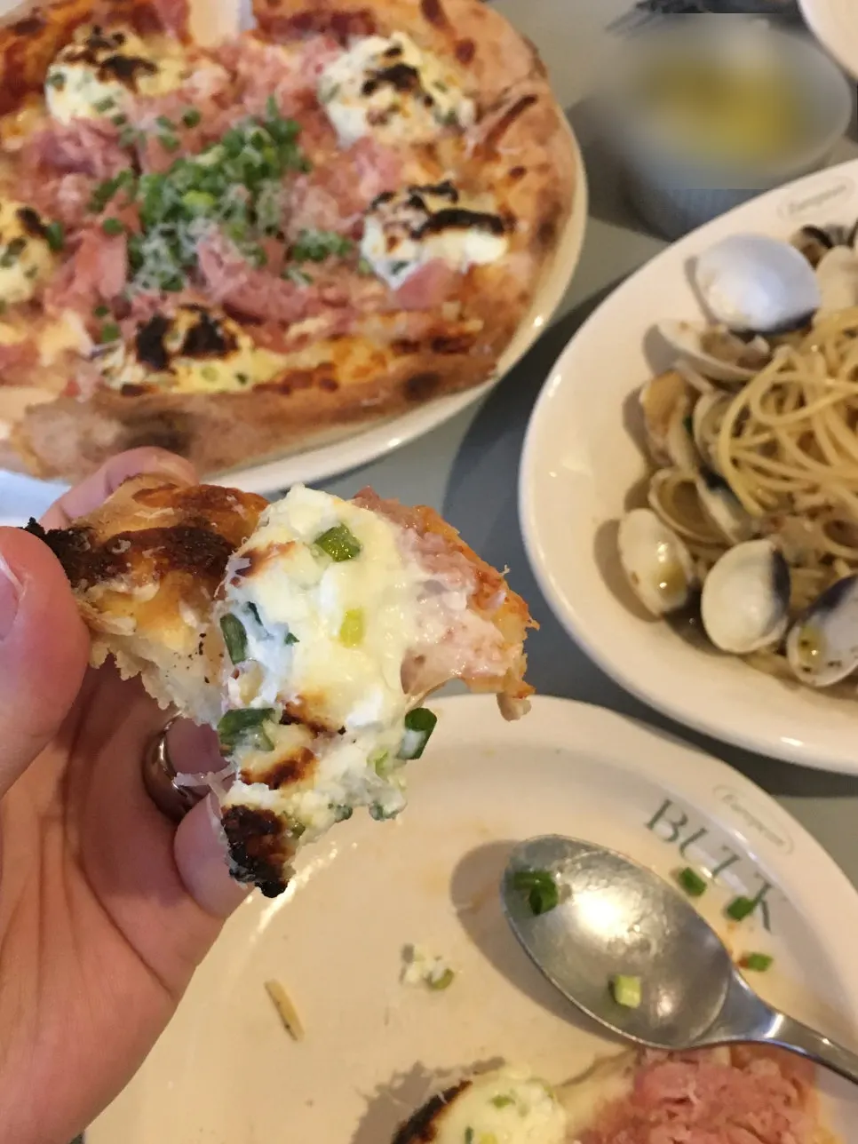 A slice of pizza spread with green-onion topping