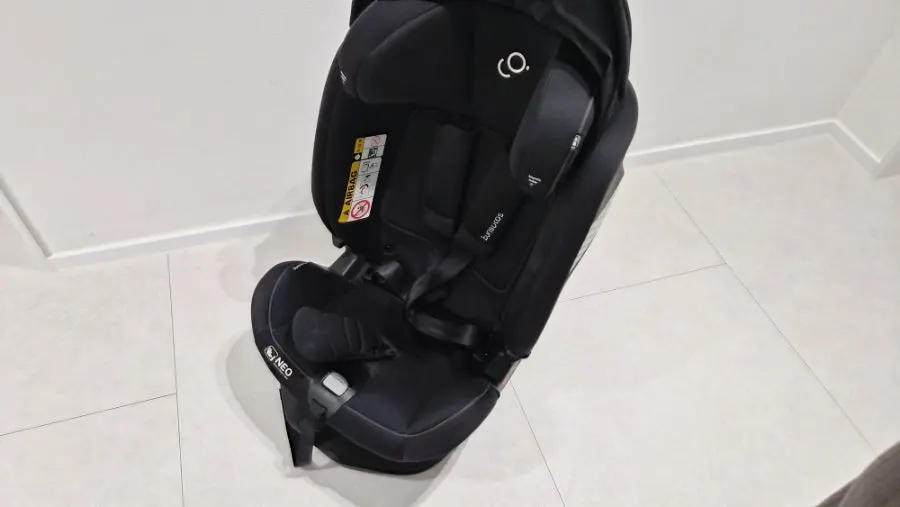 Snack crumb traces found in the car seat after removing it from the car