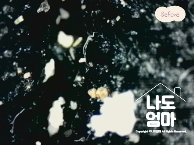 6개월 쓴 신생아 카시트 현미경 비포 사진