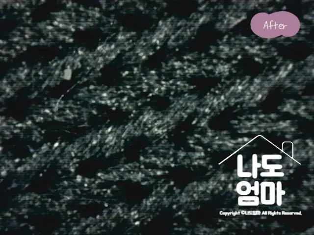 신생아 카시트 세탁 후 현미경 애프터 사진