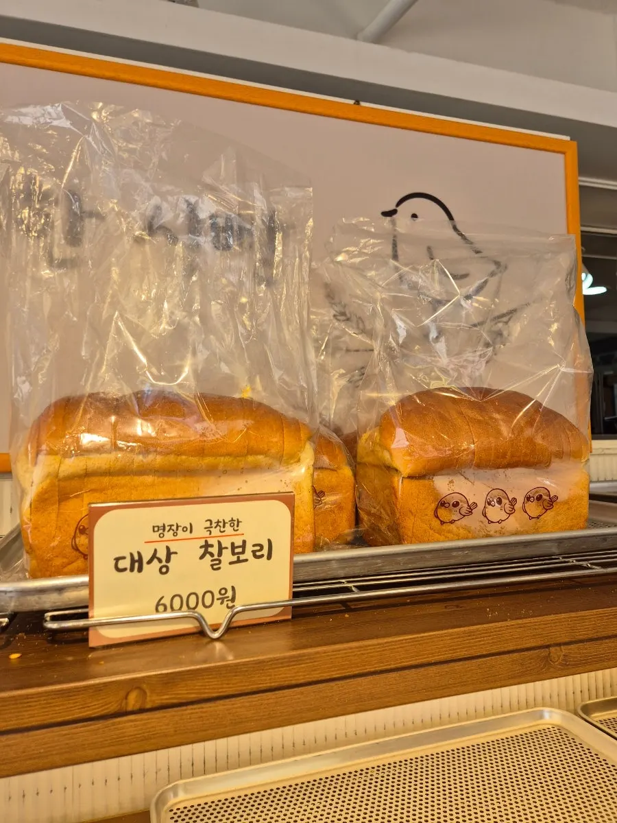 참새보리식빵 매장에서 받은 시식 식빵