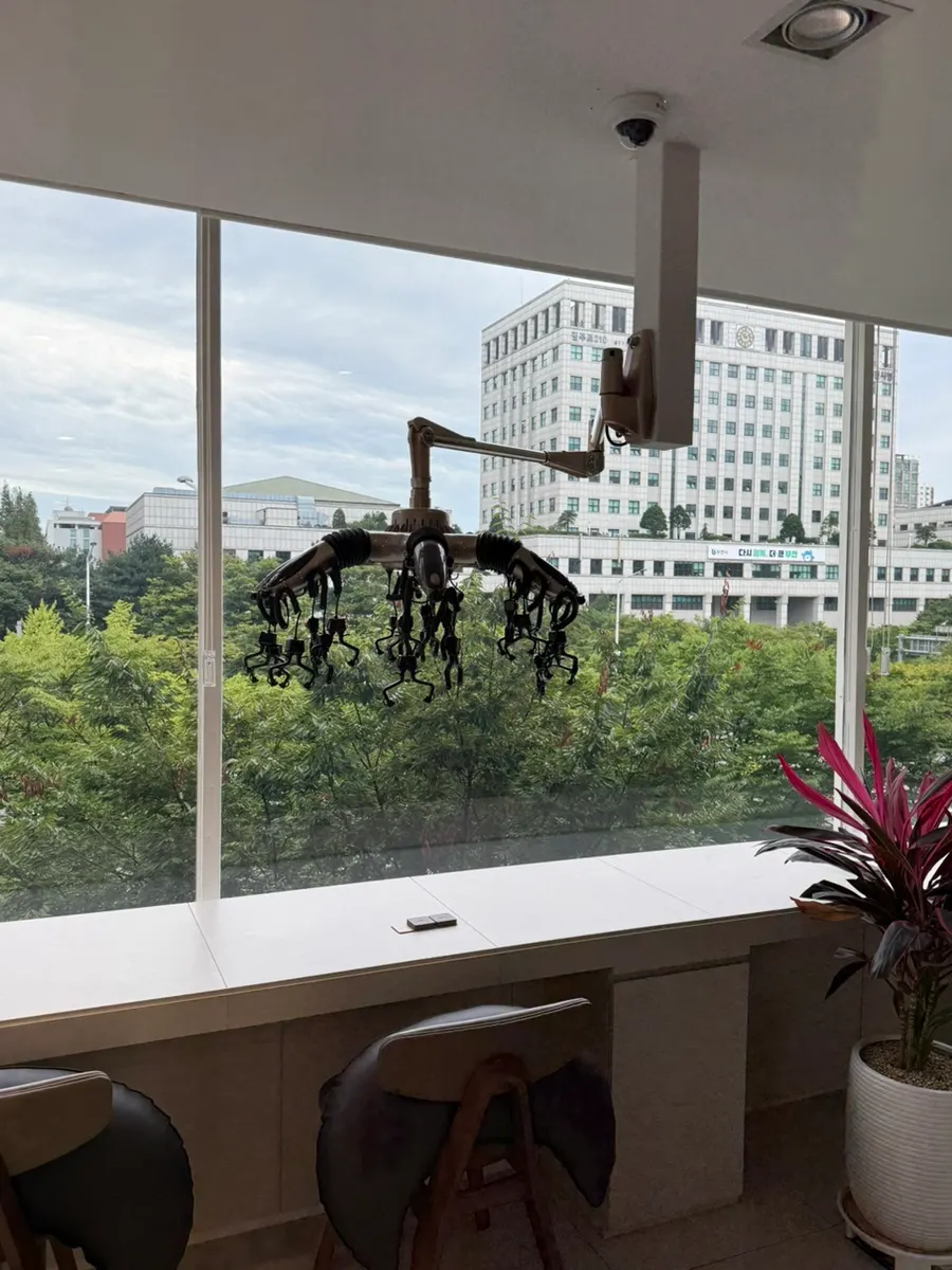 View of the main road from a window seat