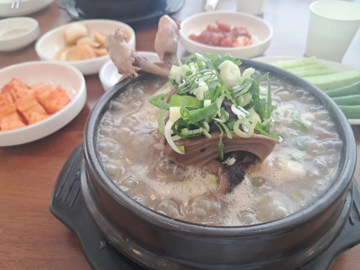 뚝배기에 담긴 능이삼계탕