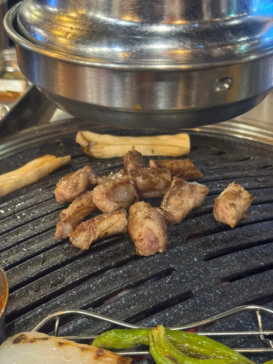 A grilled piece of gabrisal
