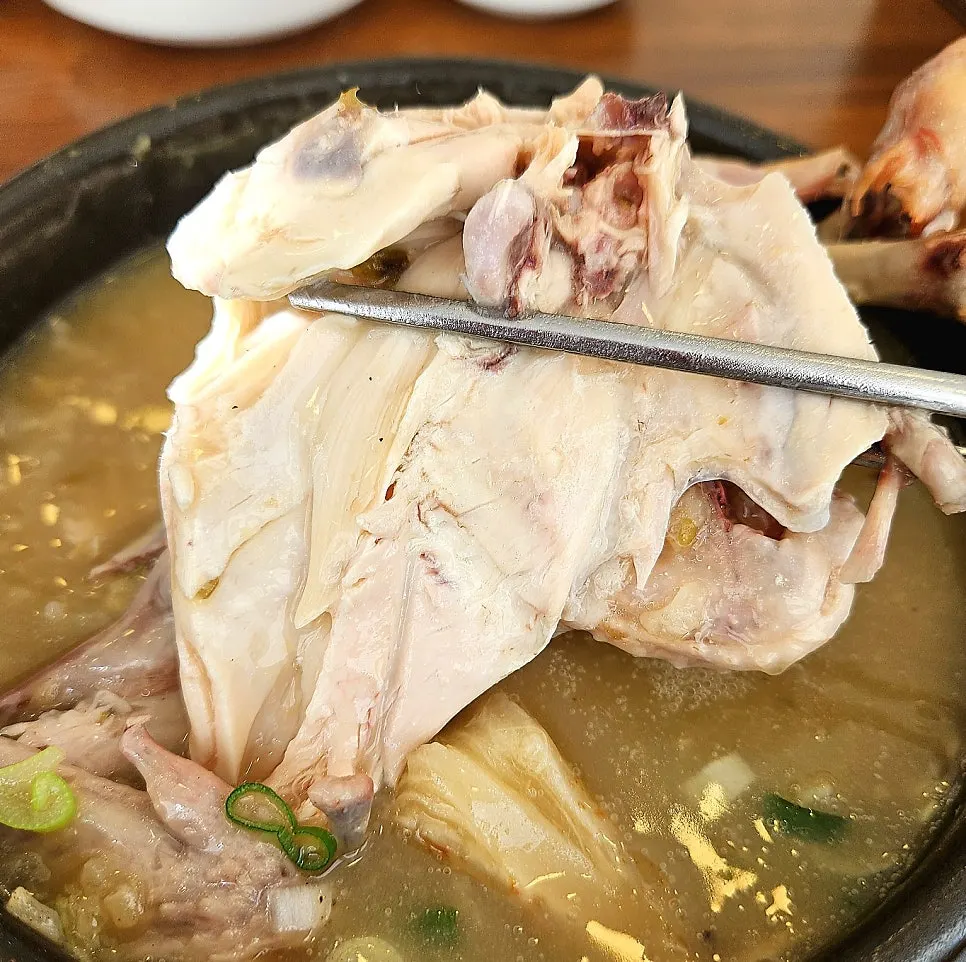 뚝배기에 담긴 한방녹두삼계탕 한 그릇
