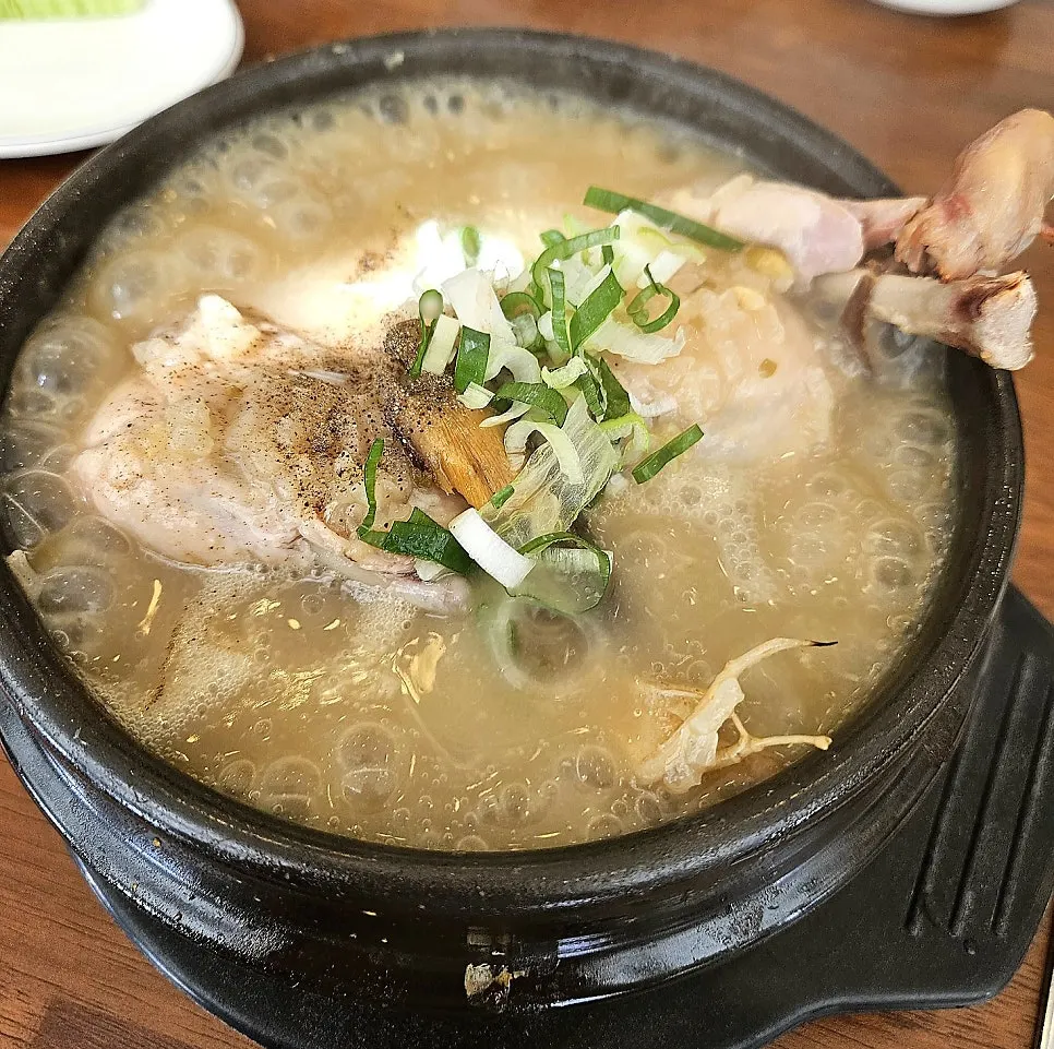 닭 한 마리가 통째로 담긴 삼계탕 뚝배기