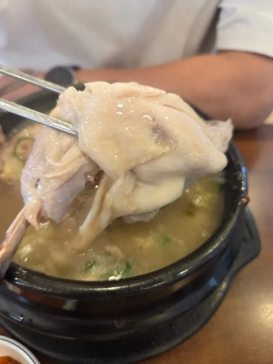 끓는 한방녹두삼계탕 국물