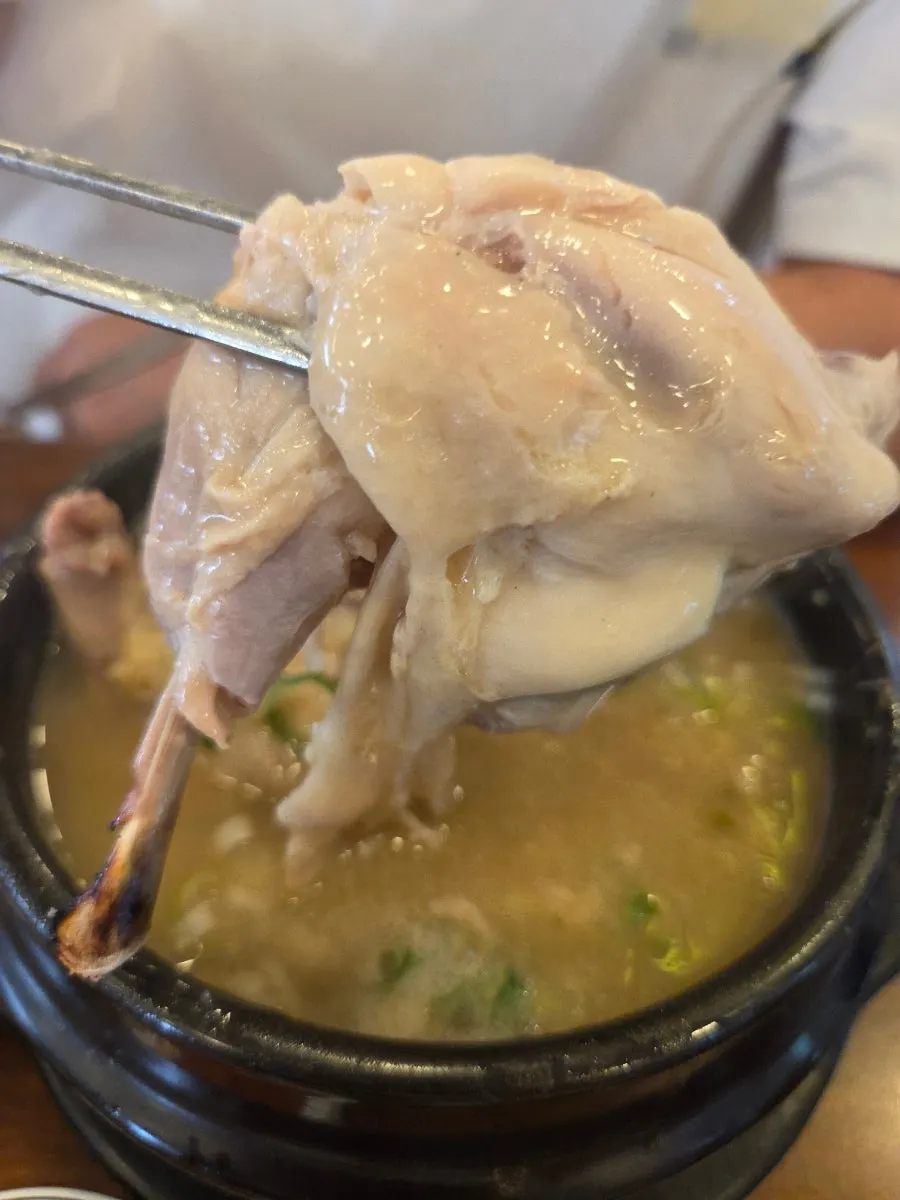 노르스름한 삼계탕 국물