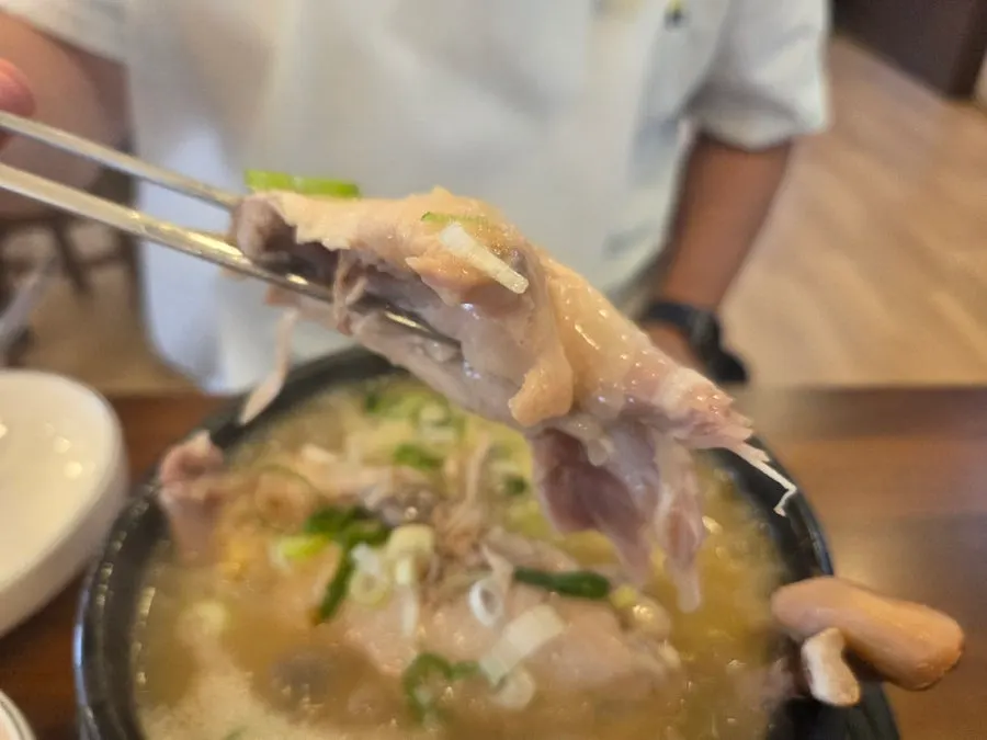부드럽게 익힌 삼계탕 닭고기