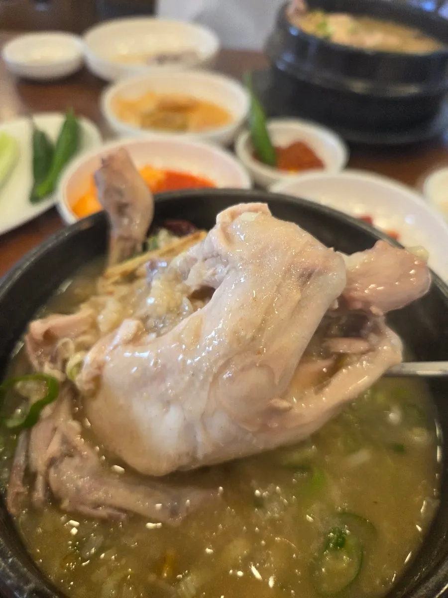 삼계탕 닭고기와 녹두 국물