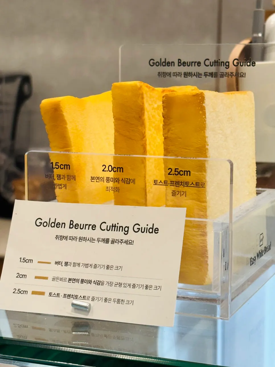 Half와 Whole 사이즈 비교용 생식빵 모형