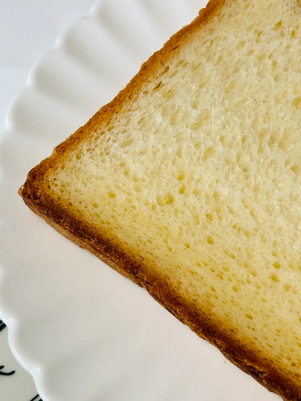 촘촘한 결이 보이는 생식빵 단면