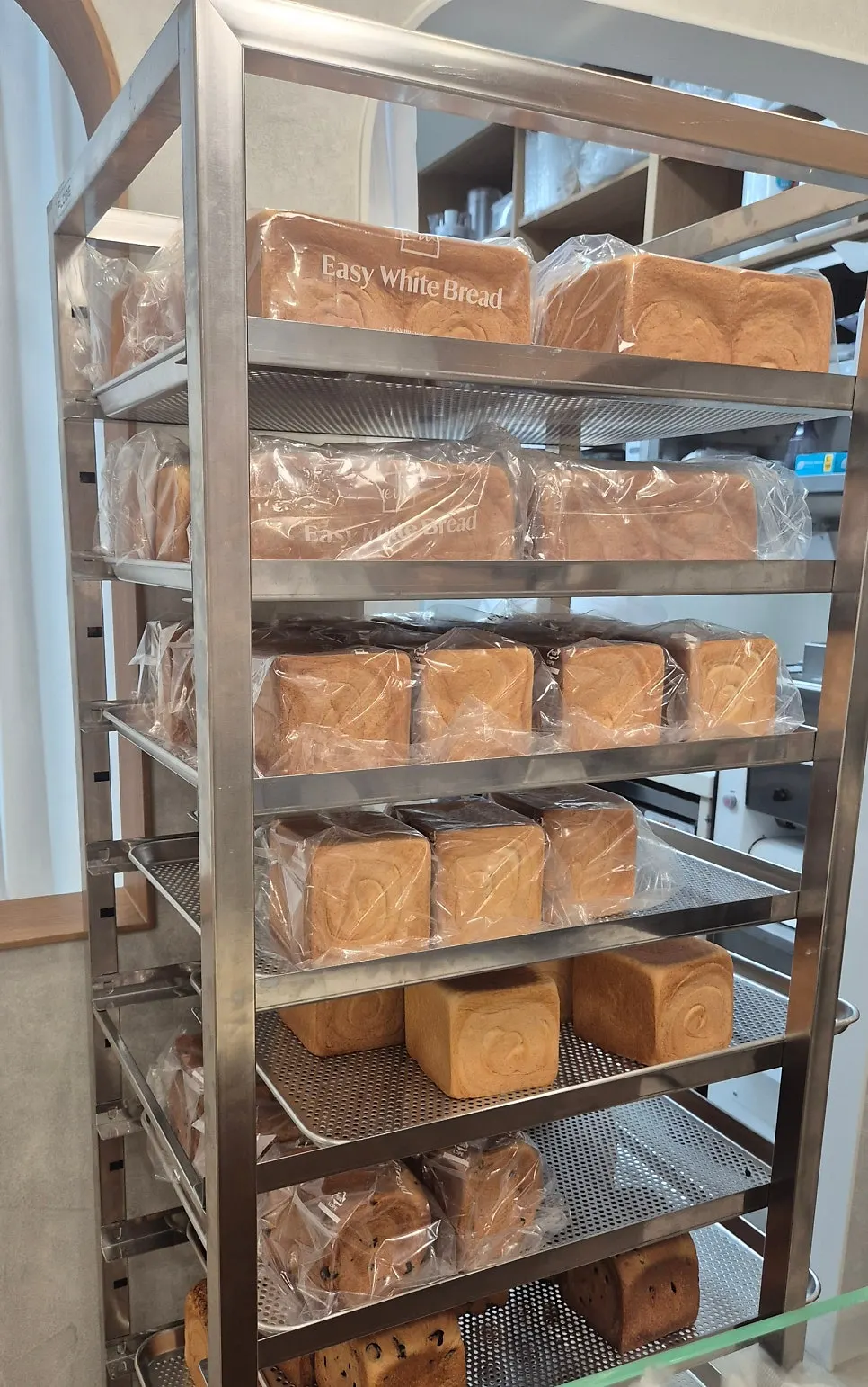 Bakery display case with milk breads lined up