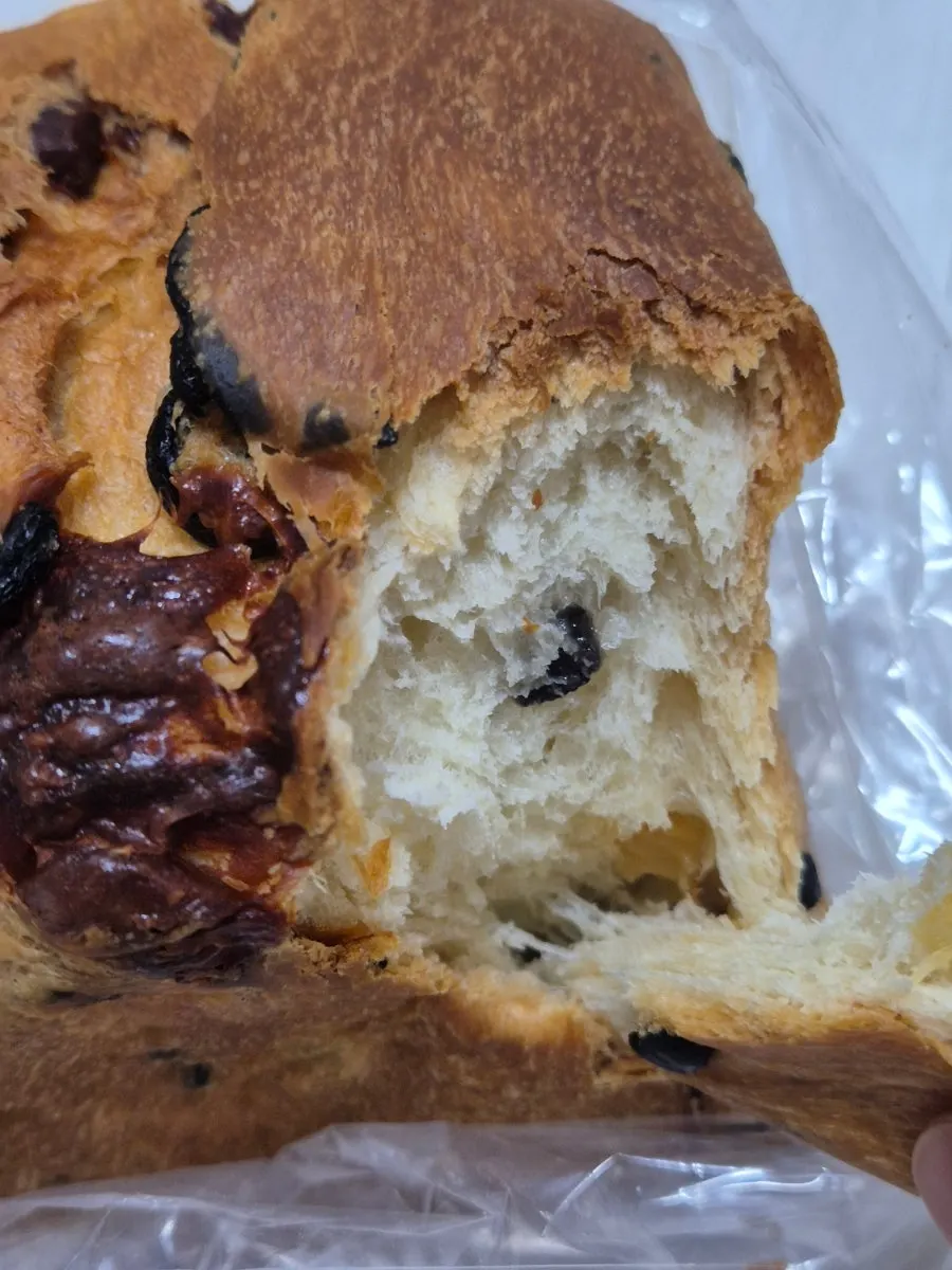 Olive cheese fresh milk bread pulled apart along its layers