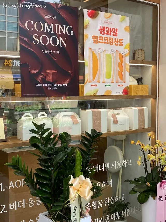 진열대에 놓인 생식빵 종류