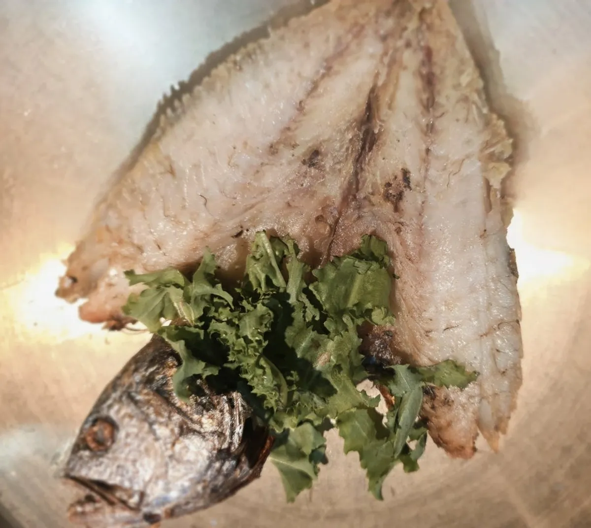 Barley corvina grilled to a golden brown