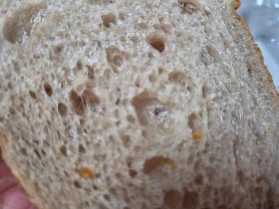 접시에 담은 찰보리 식빵
