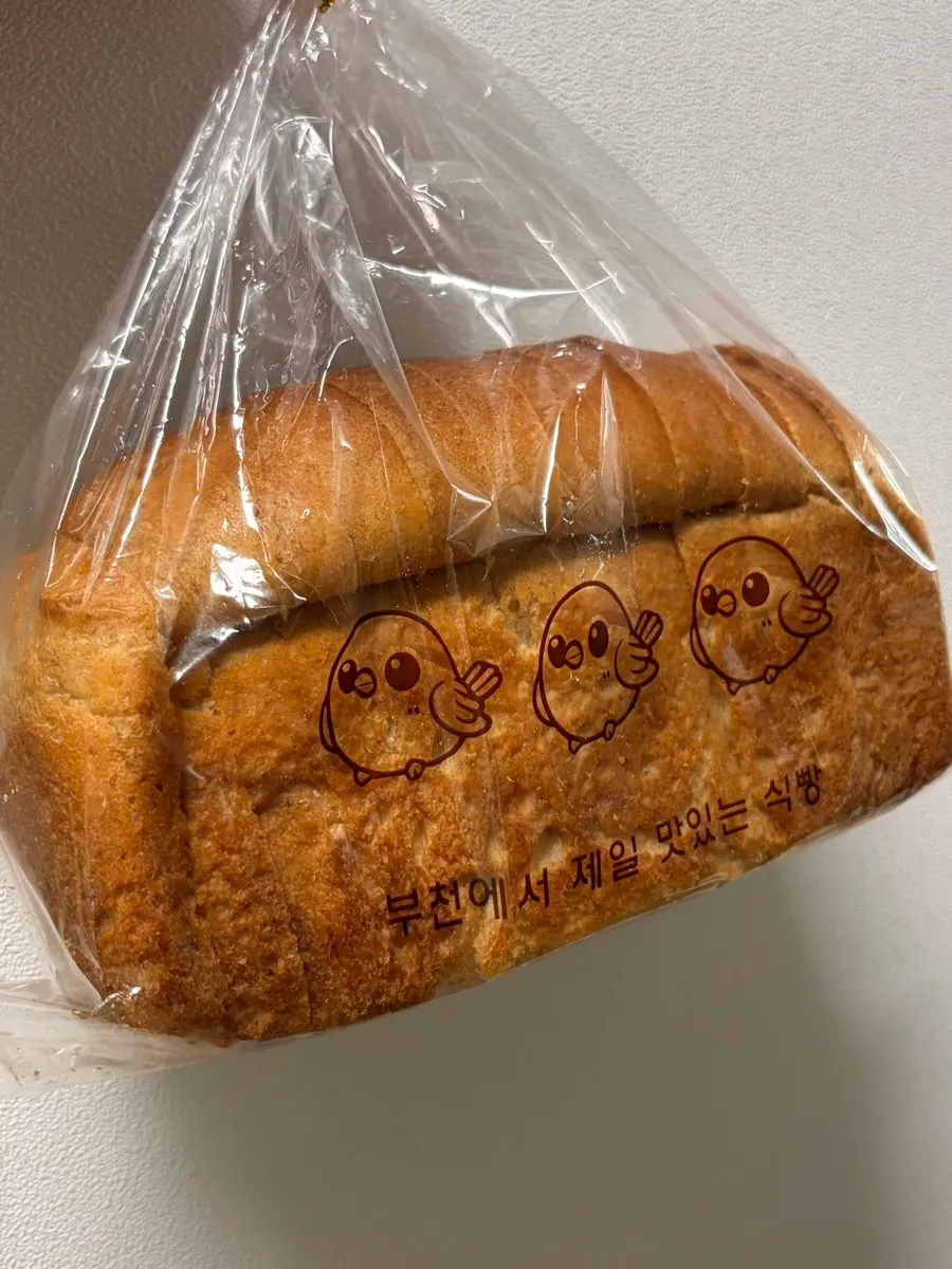 집으로 가져온 보리 식빵 세 종류