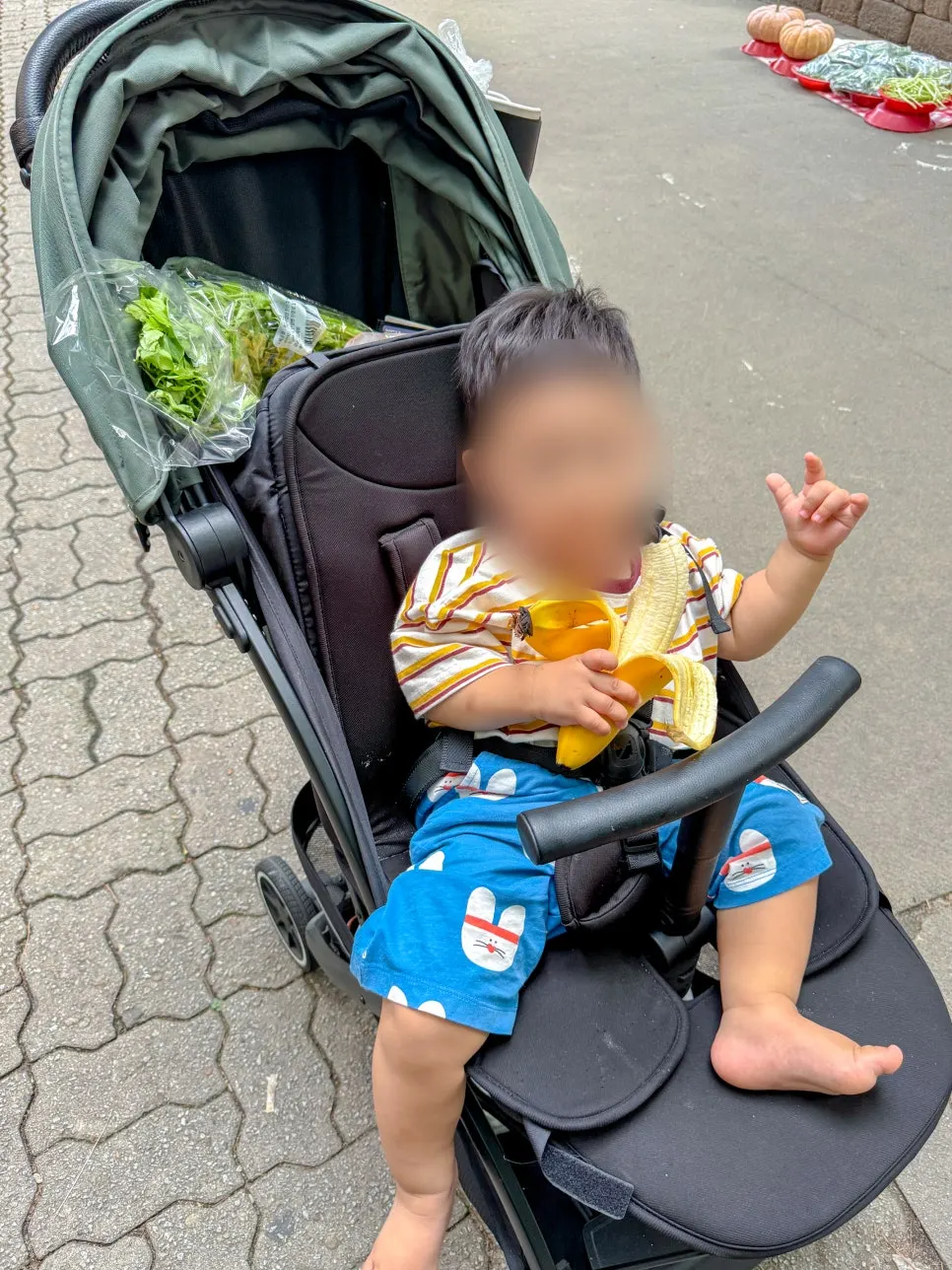 Troli bayi yang digunakan setiap hari