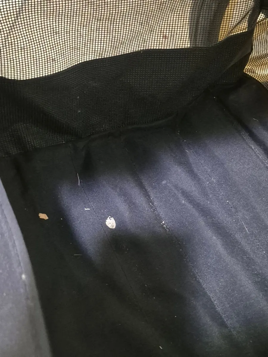 Oyster 3 deluxe stroller left for disassembly cleaning