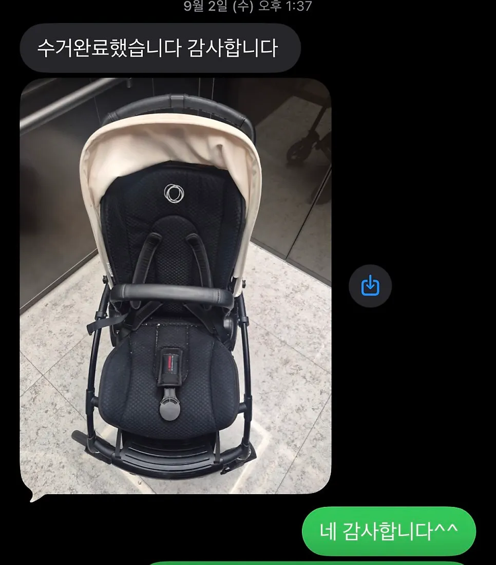 Bugaboo mid-size stroller before cleaning