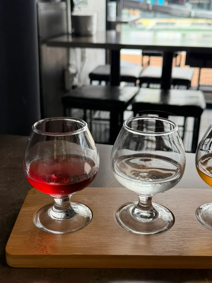 Four glasses of traditional liquor sampler in different colors