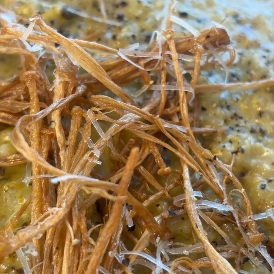 Close-up of the carbonara cream pasta plate