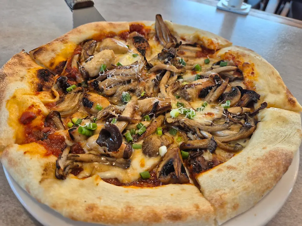 Fork lifting gnocchi and mushroom