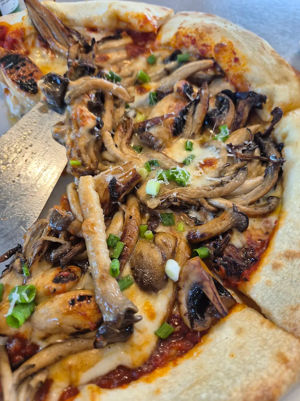 A whole truffle mushroom pizza