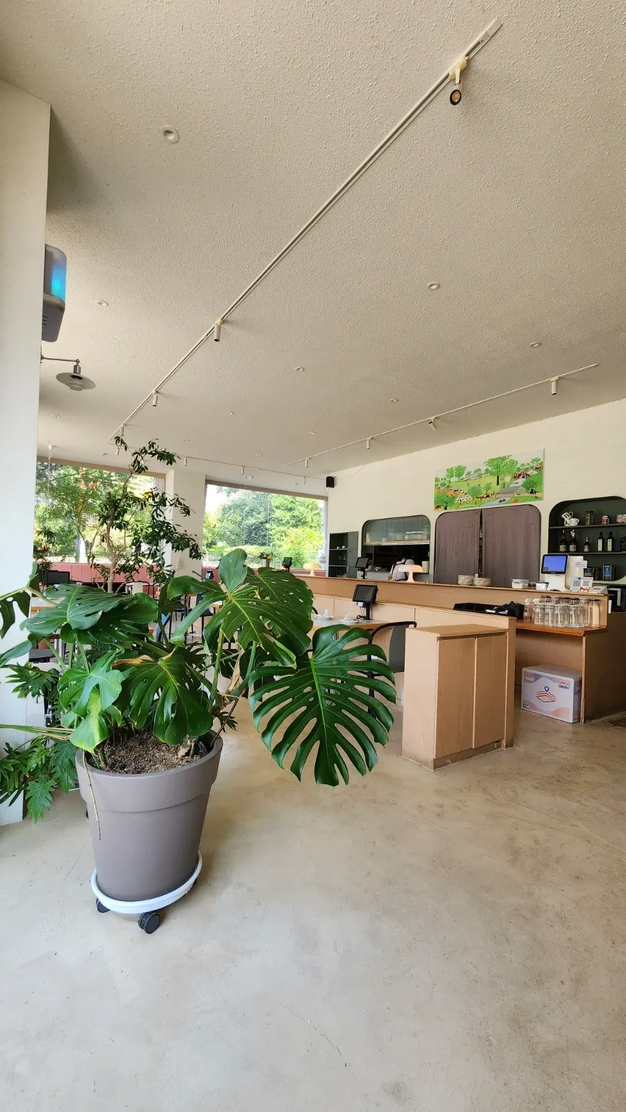 Interior of Bueokgan Suwan Branch with white and wood tones and plants