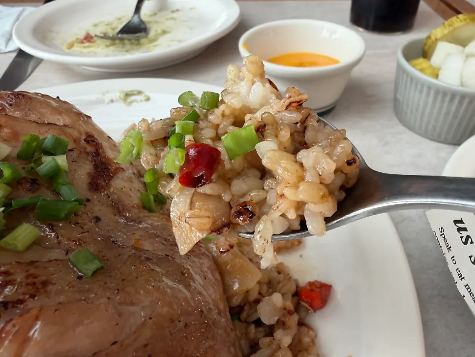 Pilaf topped with a large chicken thigh