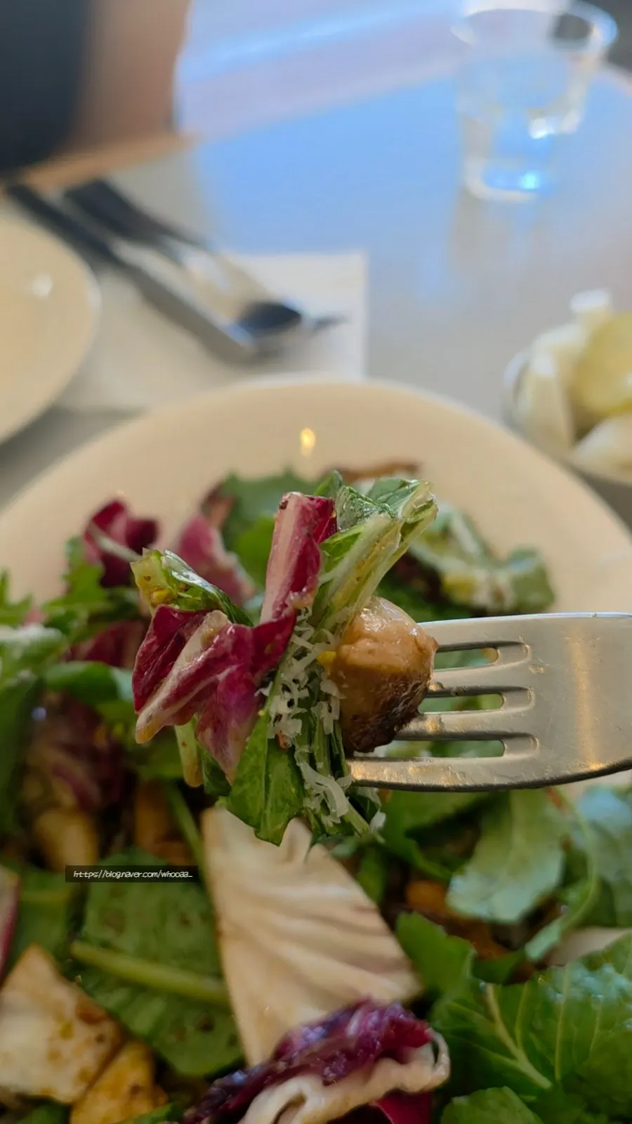 Close-up of mushroom grilled salad with nuts and cheese