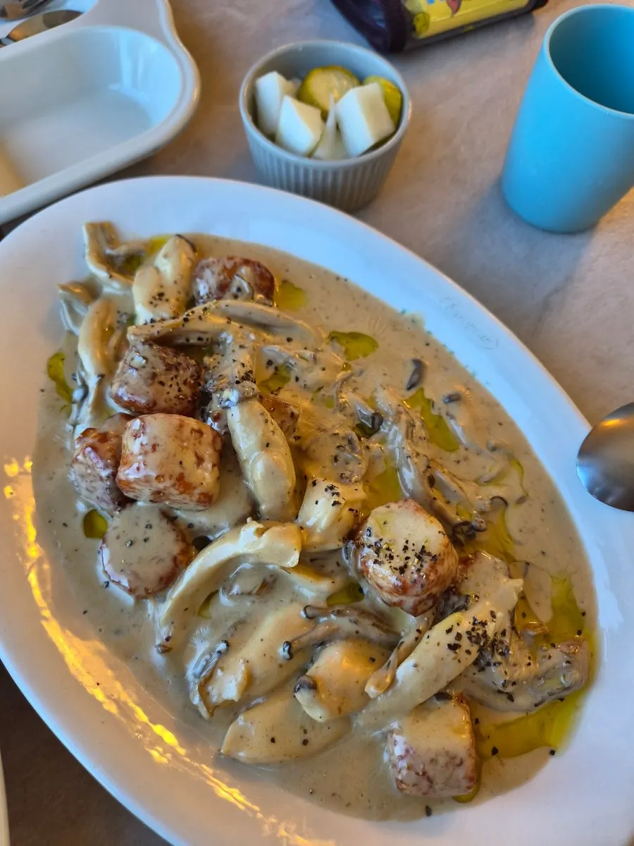 Table spread of shrimp rosé pasta and mushroom potato gnocchi