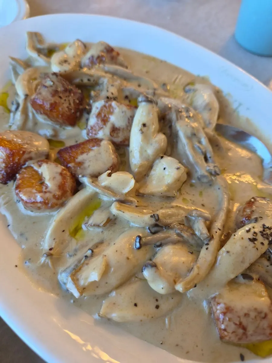 Potato gnocchi loaded with mushrooms and a strong truffle aroma