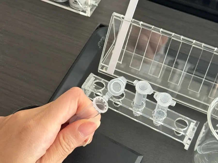 Selected fragrance bottles arranged on a tray