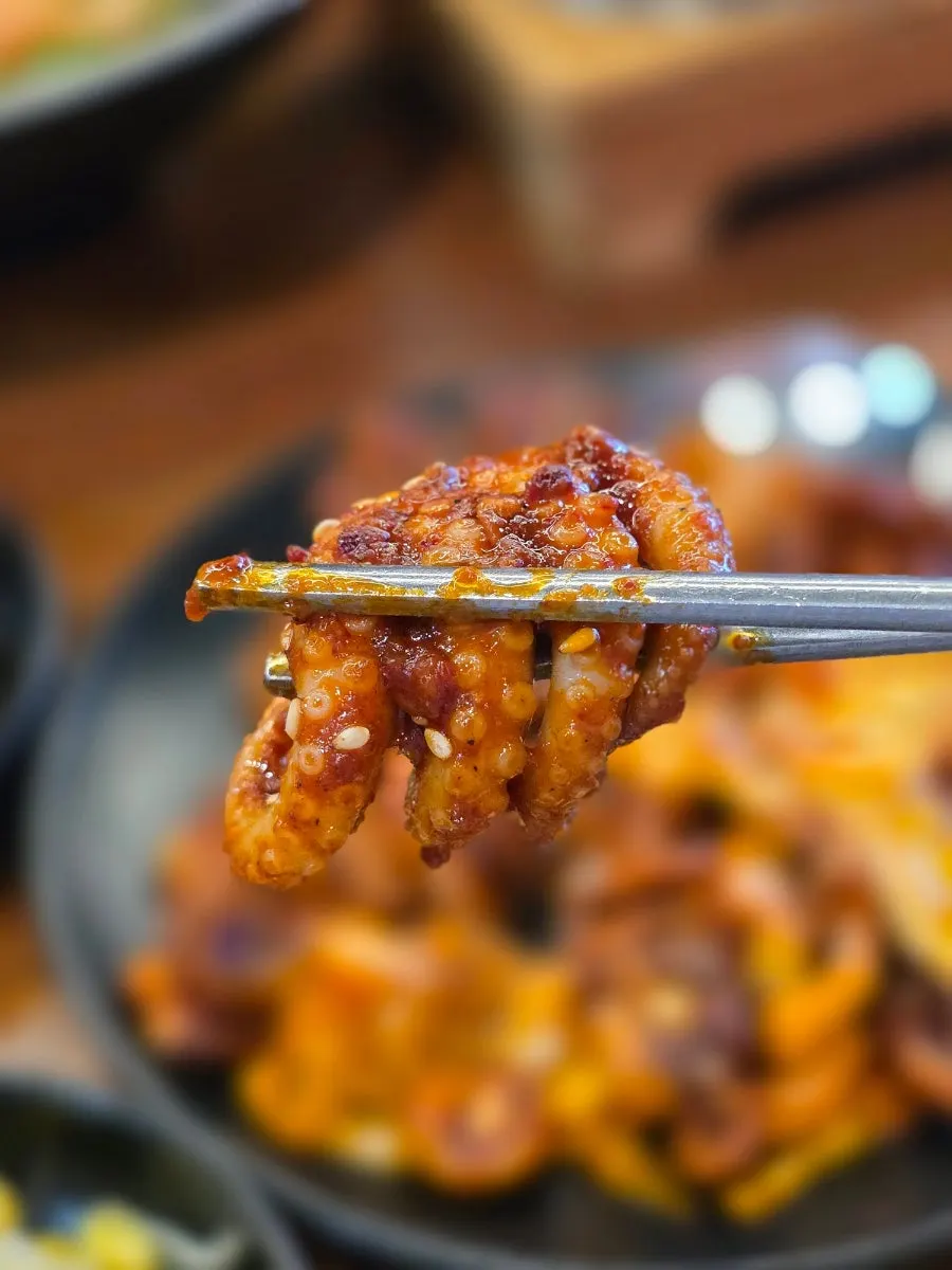 Close-up of tender jjukkumi meat