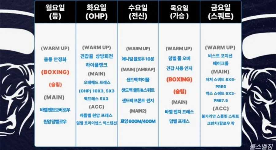 불스벨짐에서 공유하는 상세 주간 운동 루틴