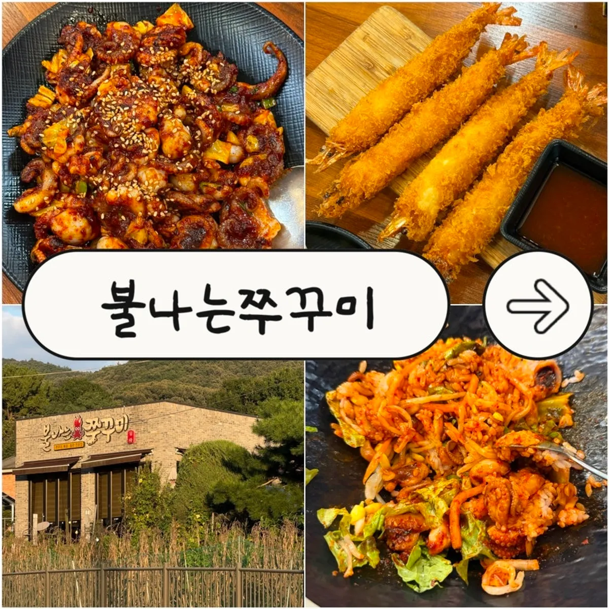불나는쭈꾸미 유량점 쭈꾸미 볶음 세트 대표 사진