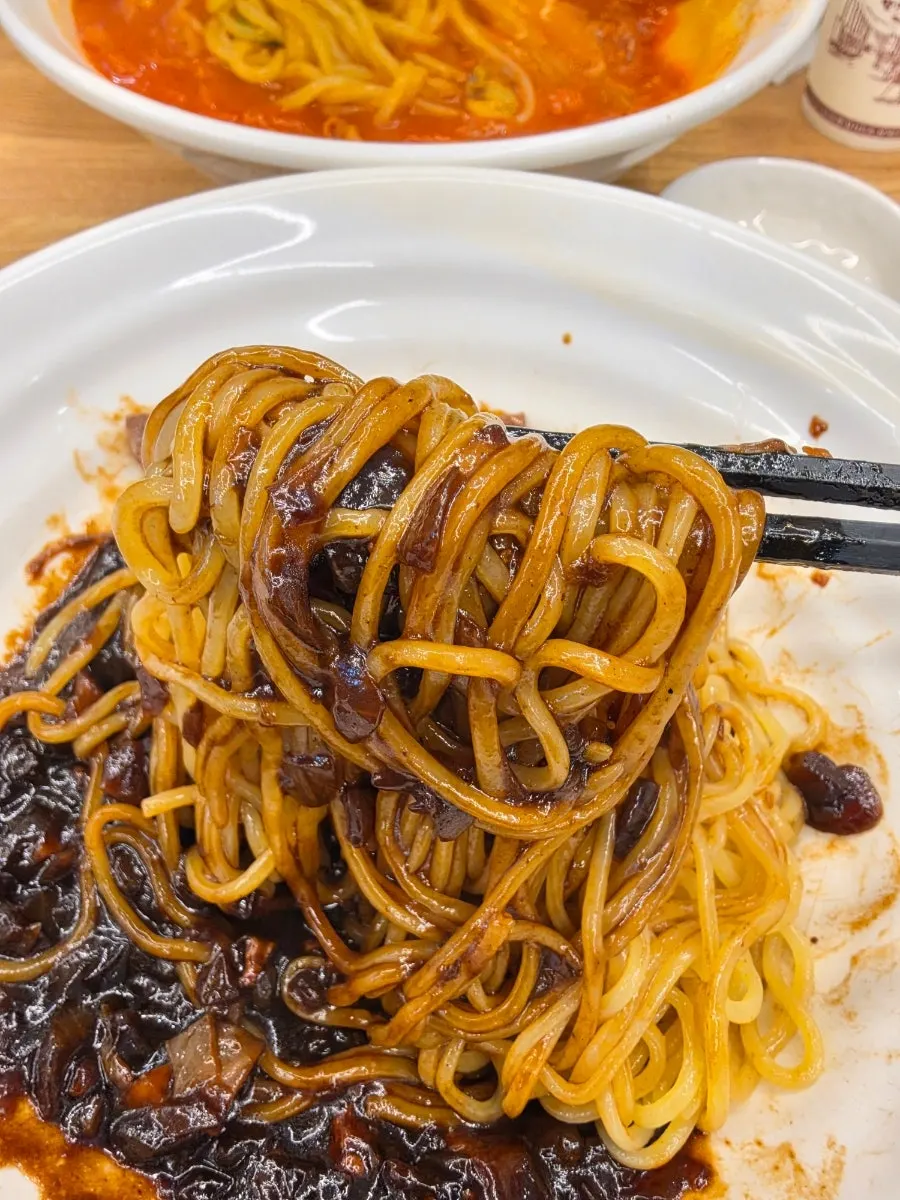 짜장 소스를 비빈 면 클로즈업