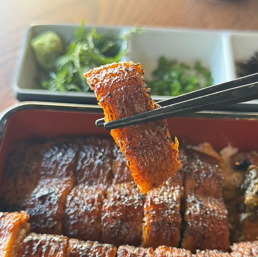 Close-up of hitsumabushi topped with a whole eel