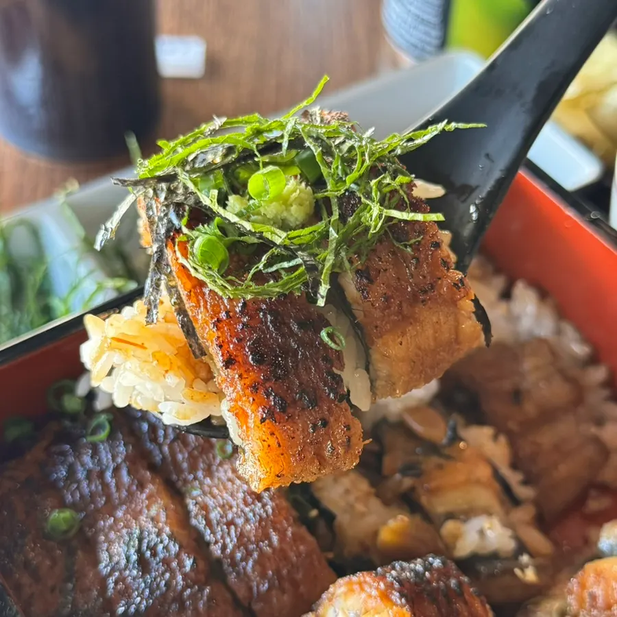 Bowl of eel and rice portioned out