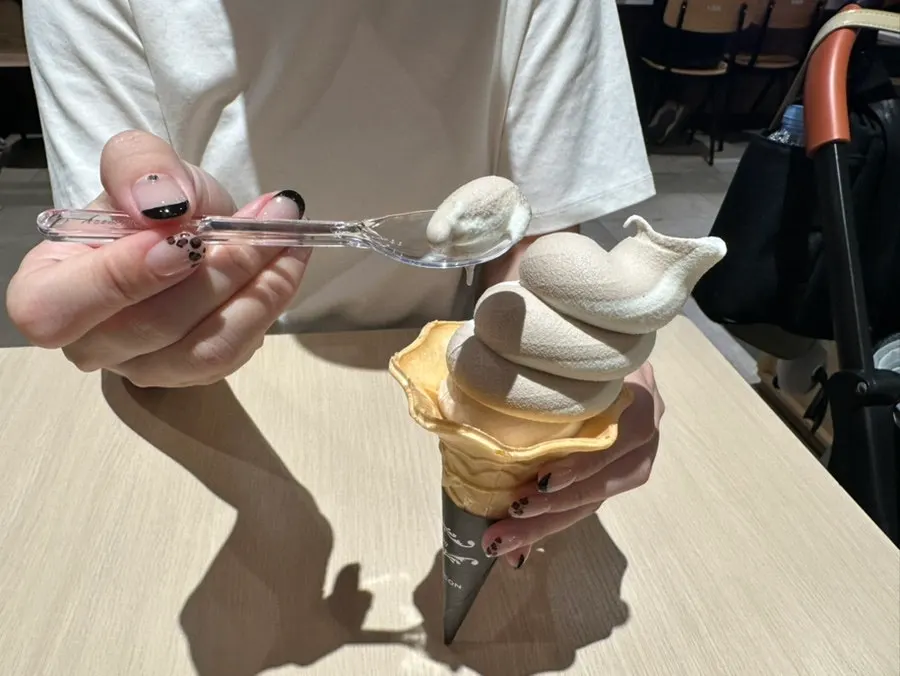 먹다 남은 소프트아이스크림과 분더가토