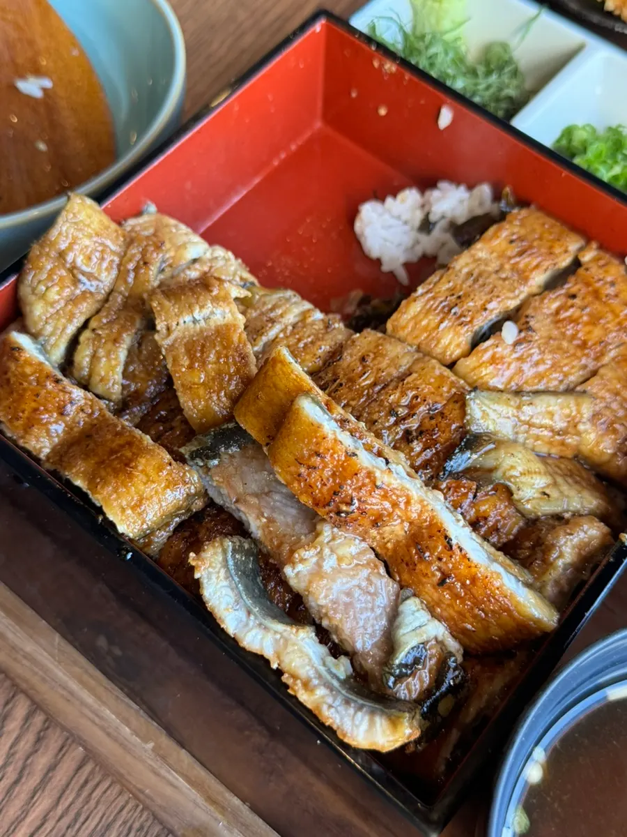 铺满一条半鳗鱼的鳗鱼盖饭
