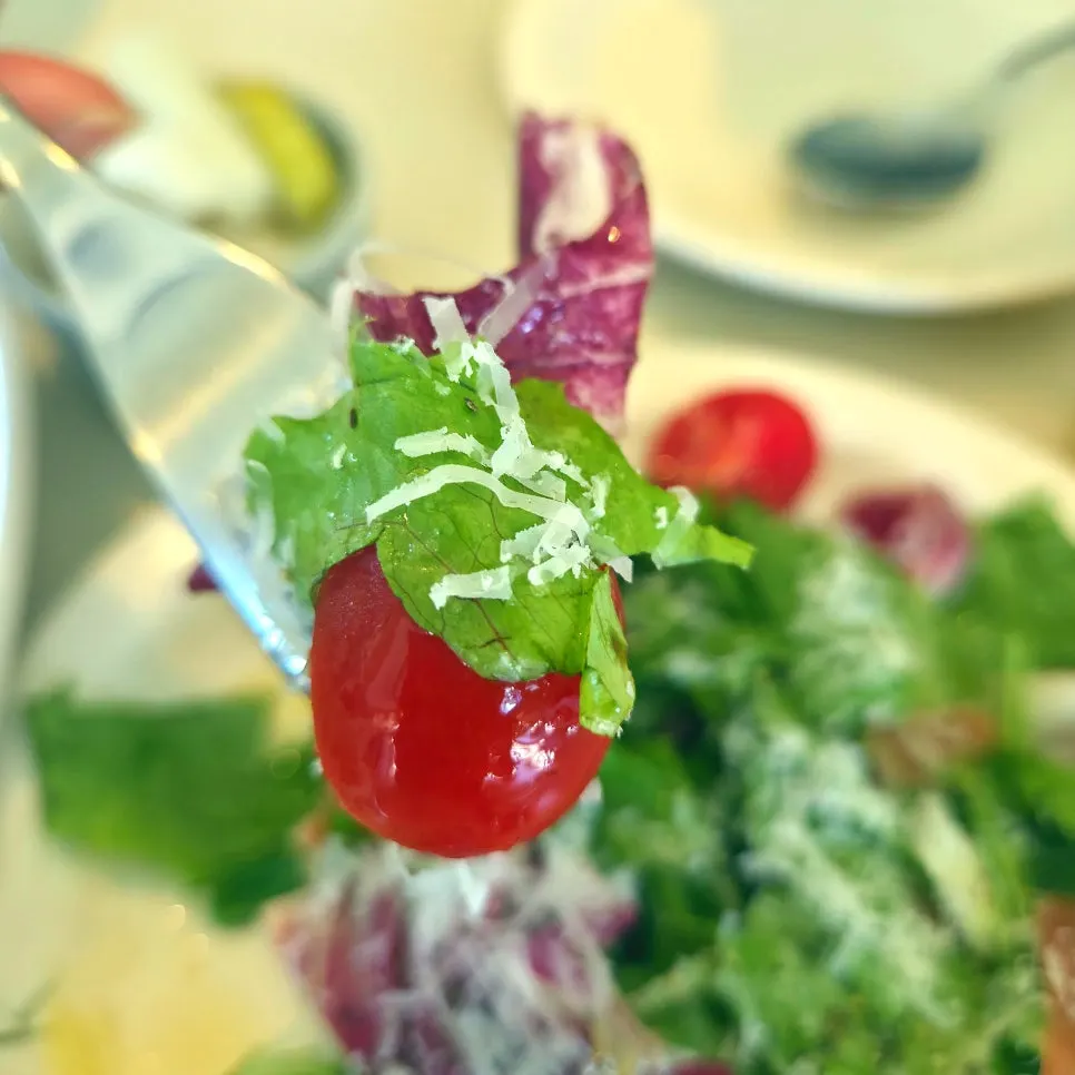 A plate of garden salad with sauce