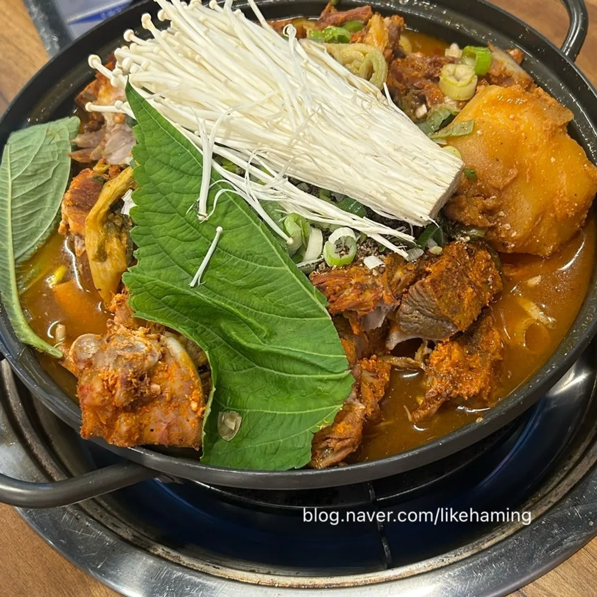 Hidangan lauk dengan dua jenis kimchi dan ssamjang