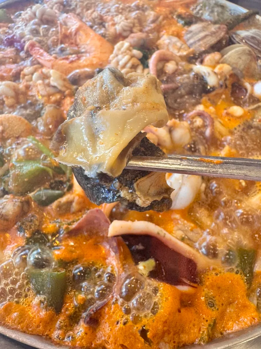 Octopus lifted out of the pot