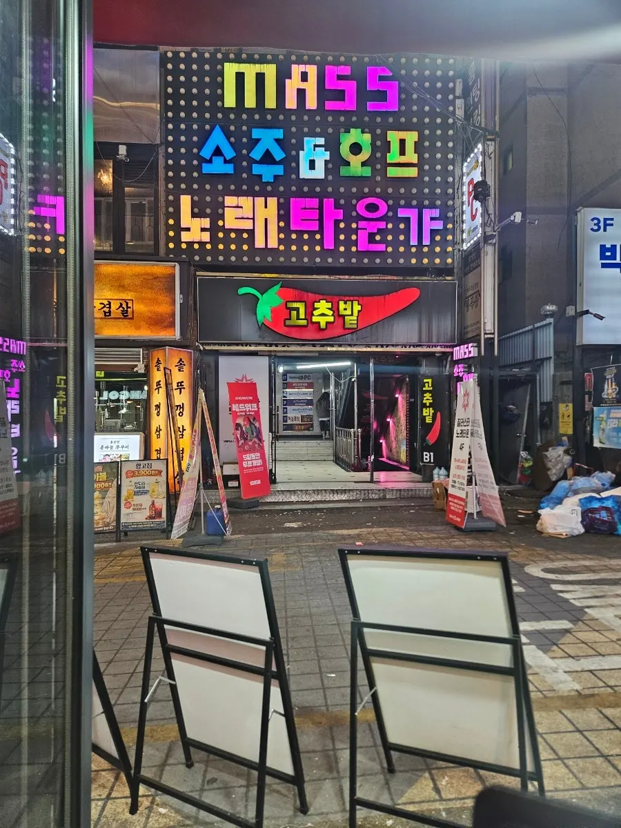 부평역 식당 창밖 고추밭 풍경
