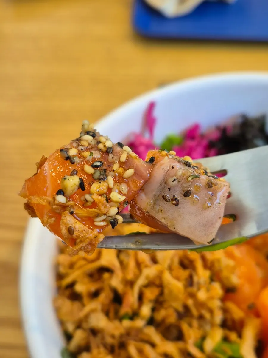 Salmon and avocado toppings