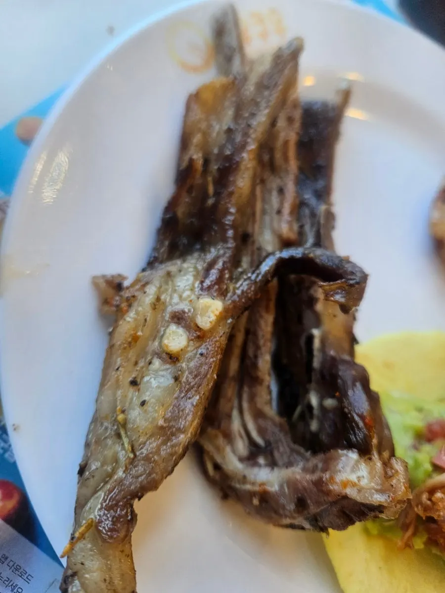 Plate with octopus and clam dishes
