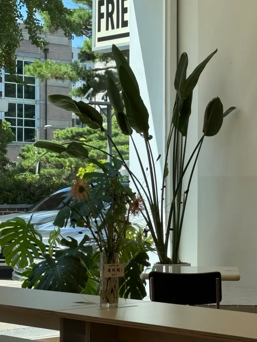 매장 벽면의 영문 사인 인테리어